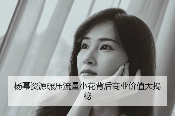 杨幂资源碾压流量小花背后商业价值大揭秘